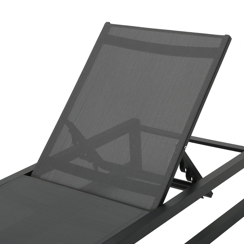 Modesta Outdoor Lounge Chair (Set of 4) by Christopher Knight Home