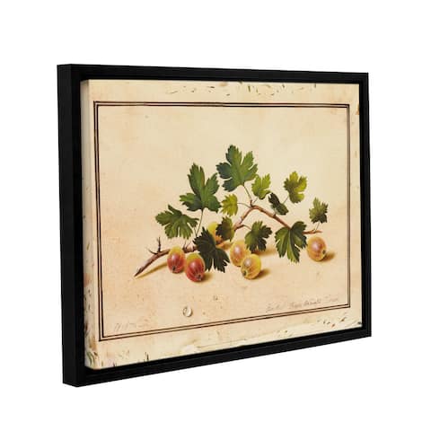 Fedor Petrovich Tolstoy's Gooseberries, Gallery Wrapped Floater-framed Canvas