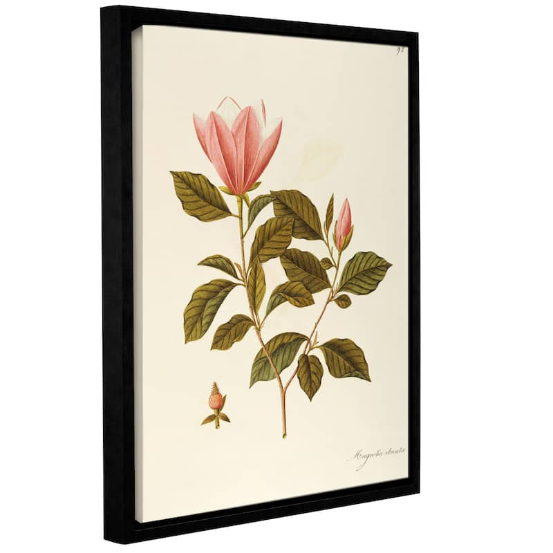 Angela Rossi Bottione's Japanese bigleaf Magnolia Magnolia obovata thunb, Gallery Wrapped Floater-framed Canvas