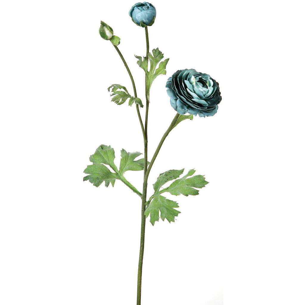 Ranunculus W/Bud 24"