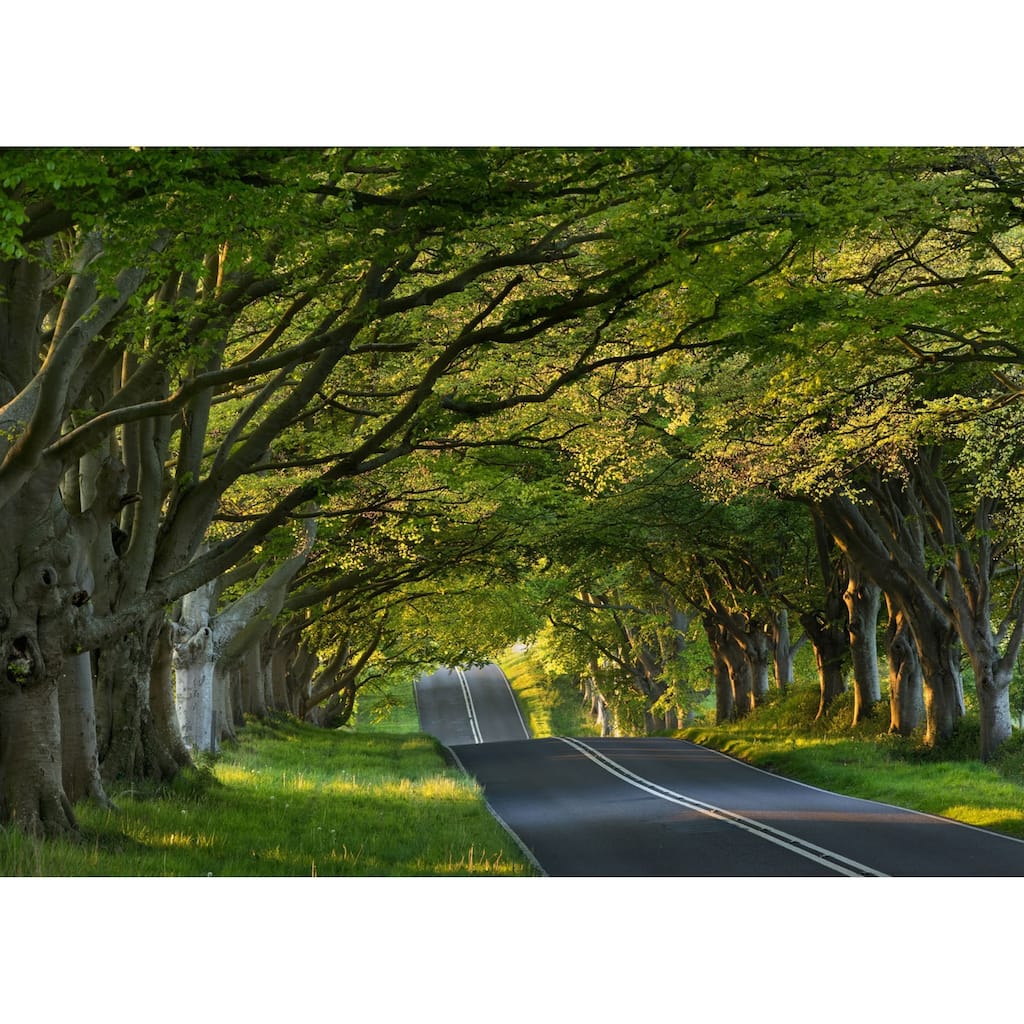 Cortesi Home On The Road Tempered Glass Wall Art, 20" x 28"