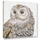 Daphne Brissonnet's Beautiful Owls I, Gallery Wrapped Canvas - On Sale ...