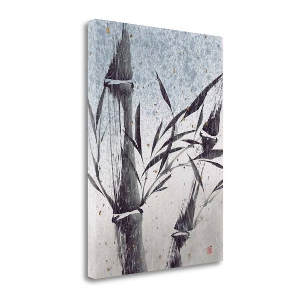 Cool Bamboo I By Katsumi Sugita, Gallery Wrap Canvas | Overstock.com ...