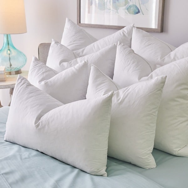 Bed bath and on sale beyond feather pillows