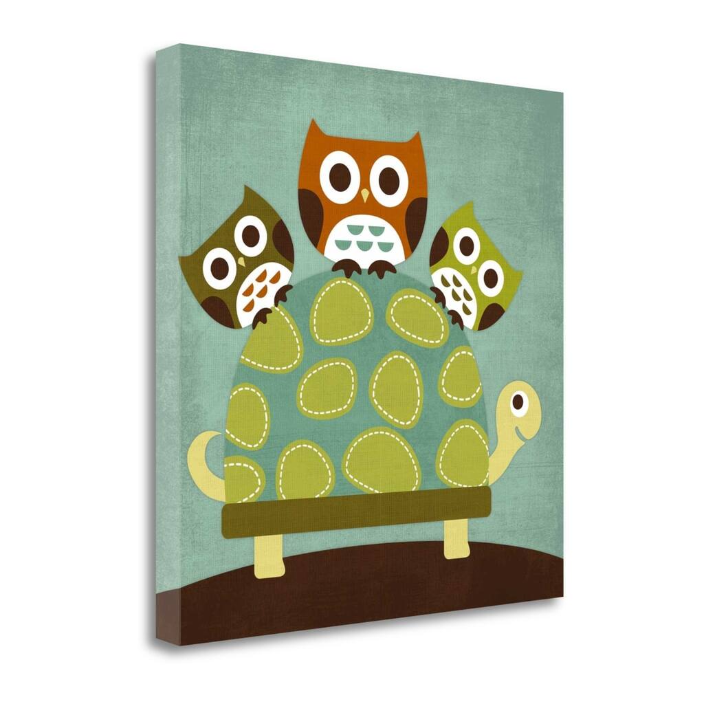 Three Owls On Turtle By Nancy Lee, Gallery Wrap Canvas