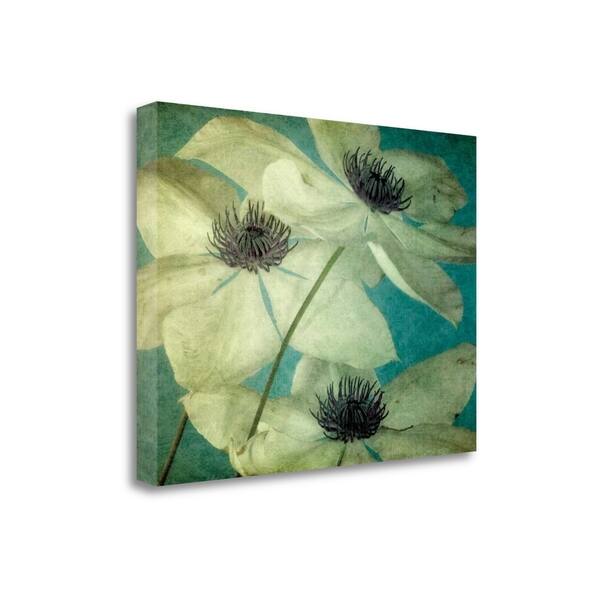 Klema By Dawn Leblanc, Gallery Wrap Canvas - Overstock - 18198736