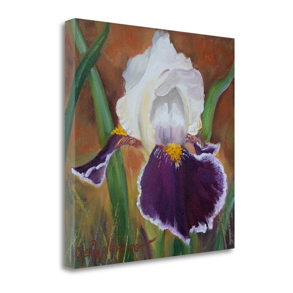 Purple And White Iris By Cheri Wollenberg, Gallery Wrap Canvas ...