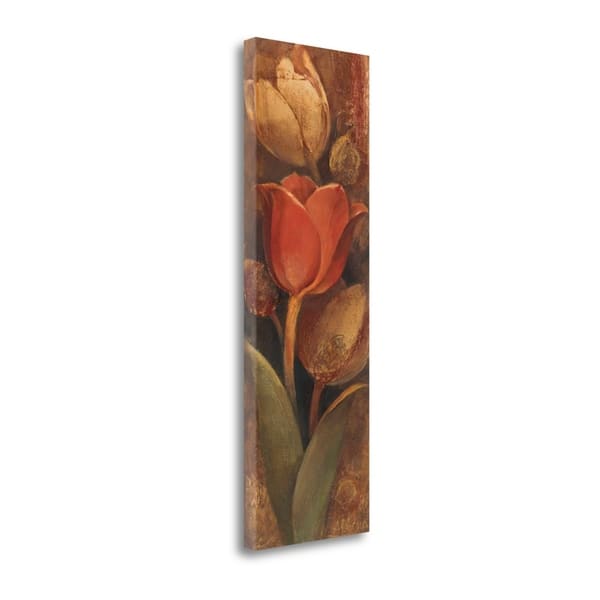 Tulip Shadow II By Albena Hristova, Gallery Wrap Canvas - Overstock ...