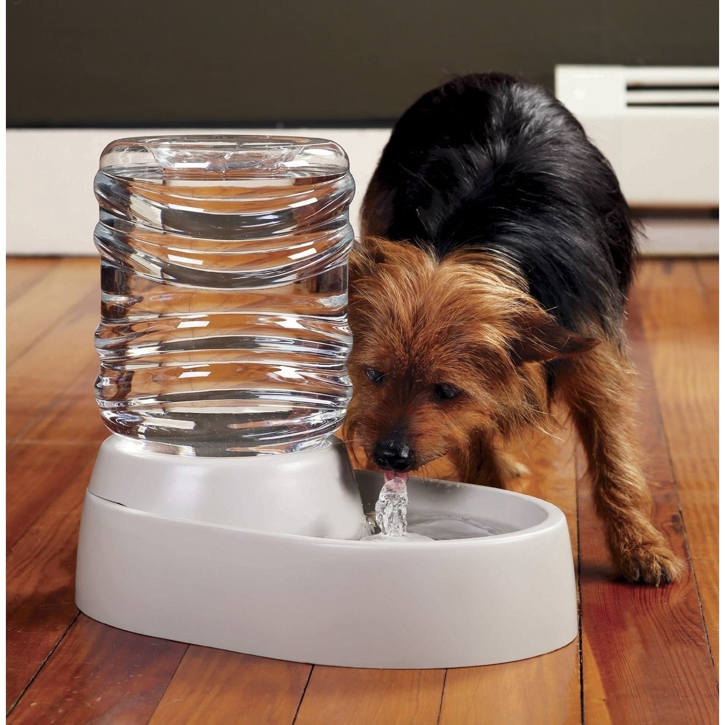 pet fountain water bowl