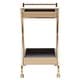 preview thumbnail 11 of 12, Zeke Contemporary Mirrored Metal Bar Cart by iNSPIRE Q Bold