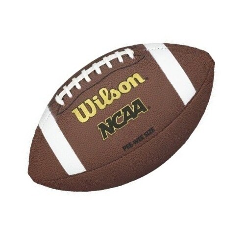 Wilson NCAA Composite Football
