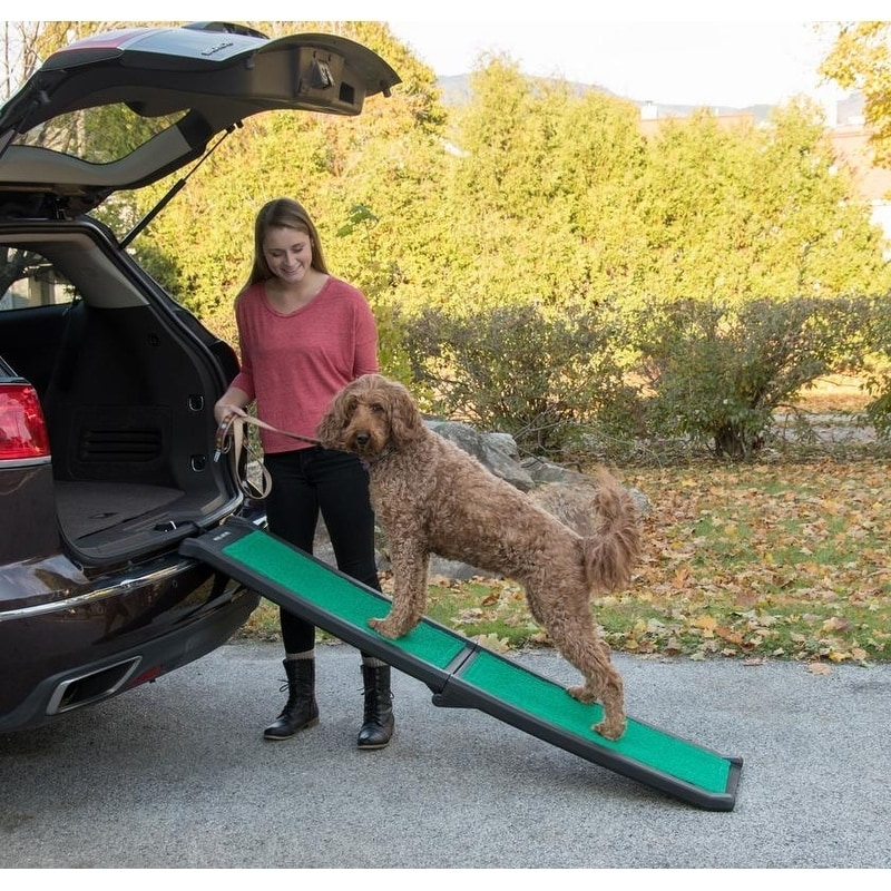 supertrax dog ramp