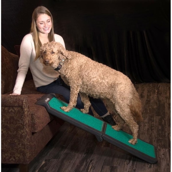 pet gear travel lite ramp