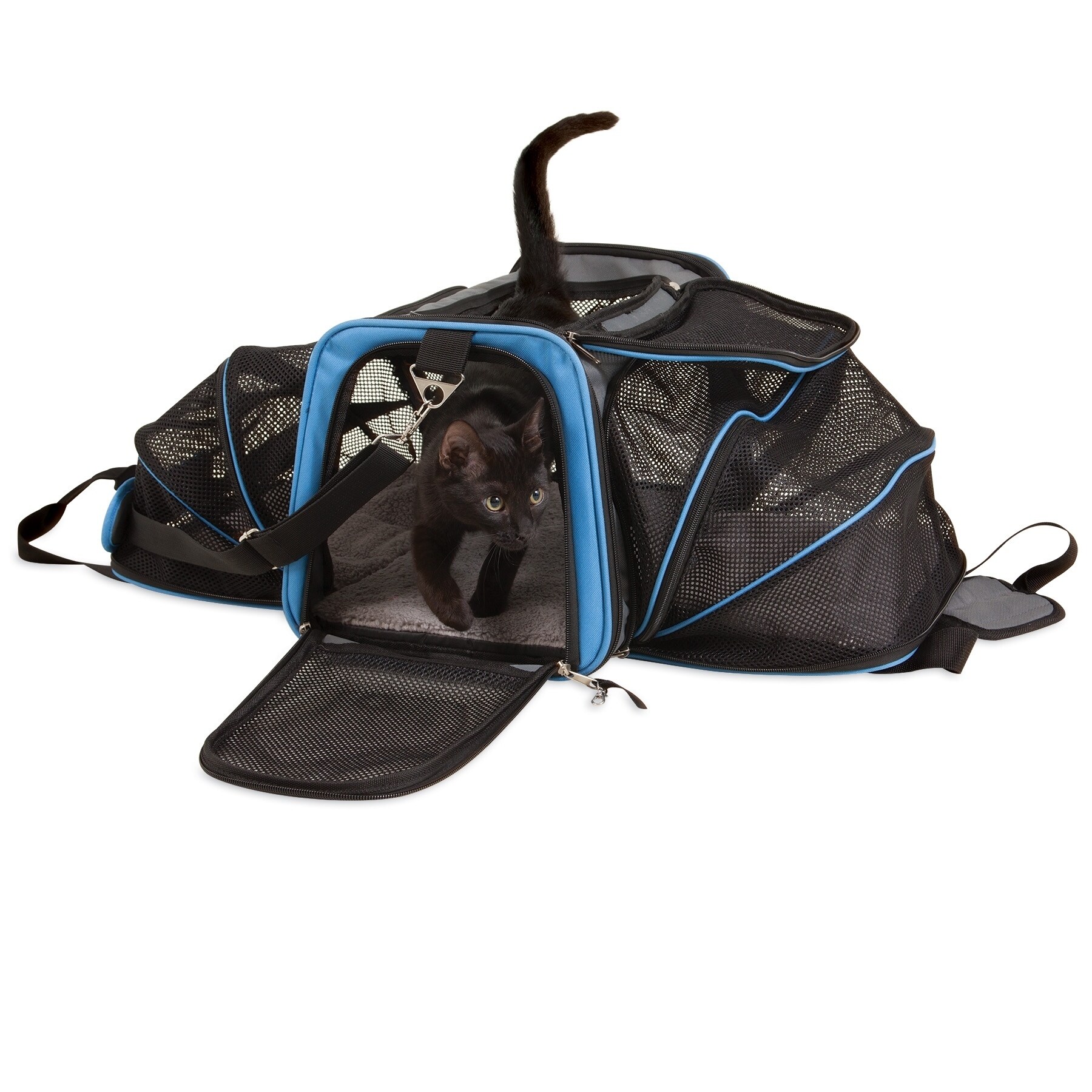 jackson galaxy backpack