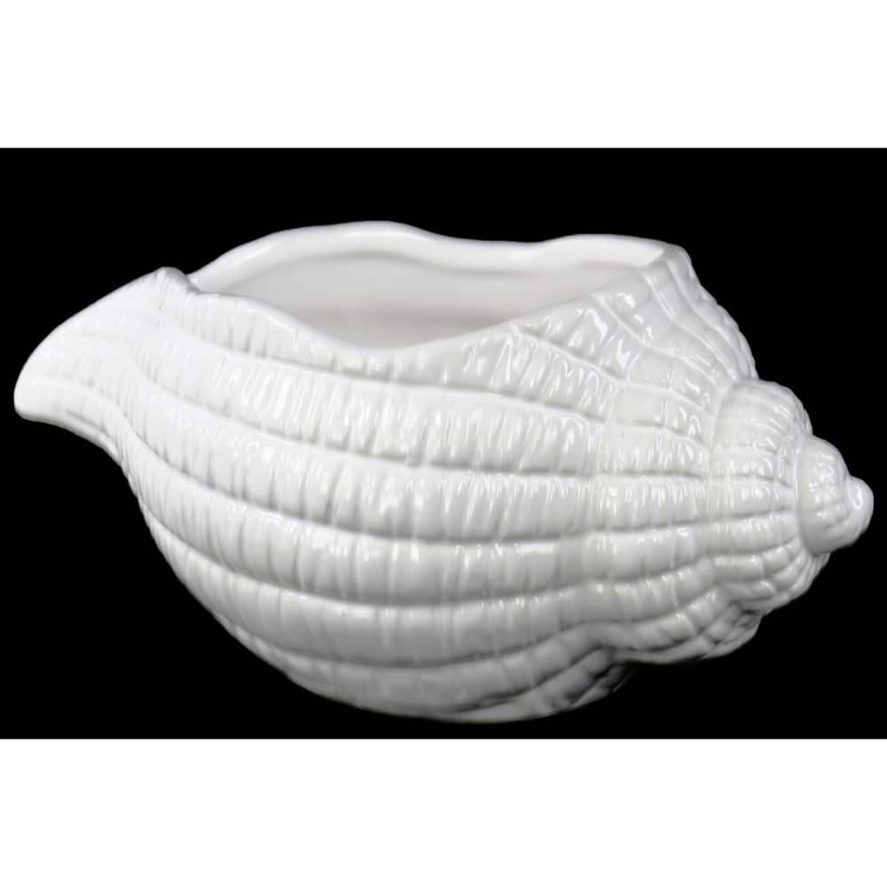 Conch Shell Sculpture- White