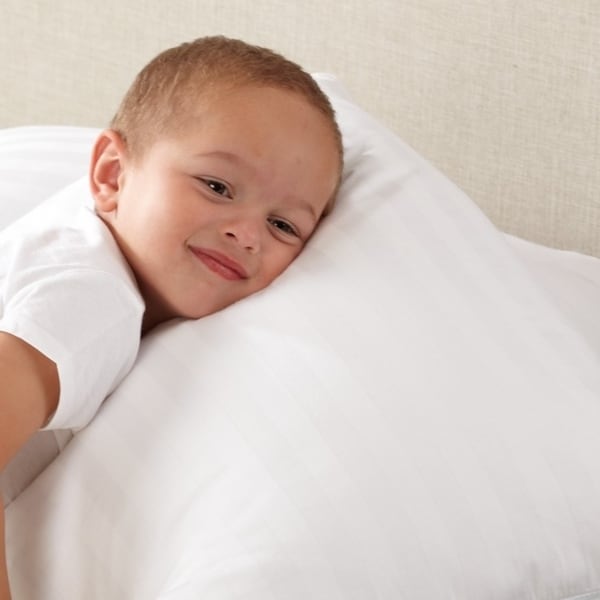 Dust Mite Bed Bug Cover Zippered Pillow Protectors. 400 Thread Count Hypoallergenic Pillow Cover Jumbo//Queen Size Home Fashion Designs 2-Pack 100/% Cotton Pillow Protectors
