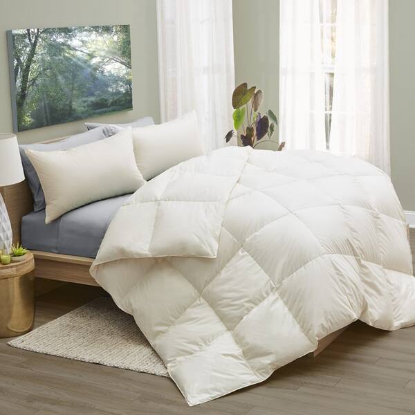 Shop 1221 Bedding Lanadown Wool Down Organic Cotton Comforter