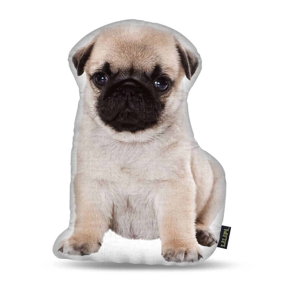 Lilipi Pug Fawn.. Decorative Accent Throw Pillow