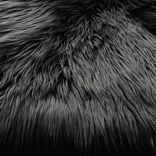 Luxurious Black Fur Texture