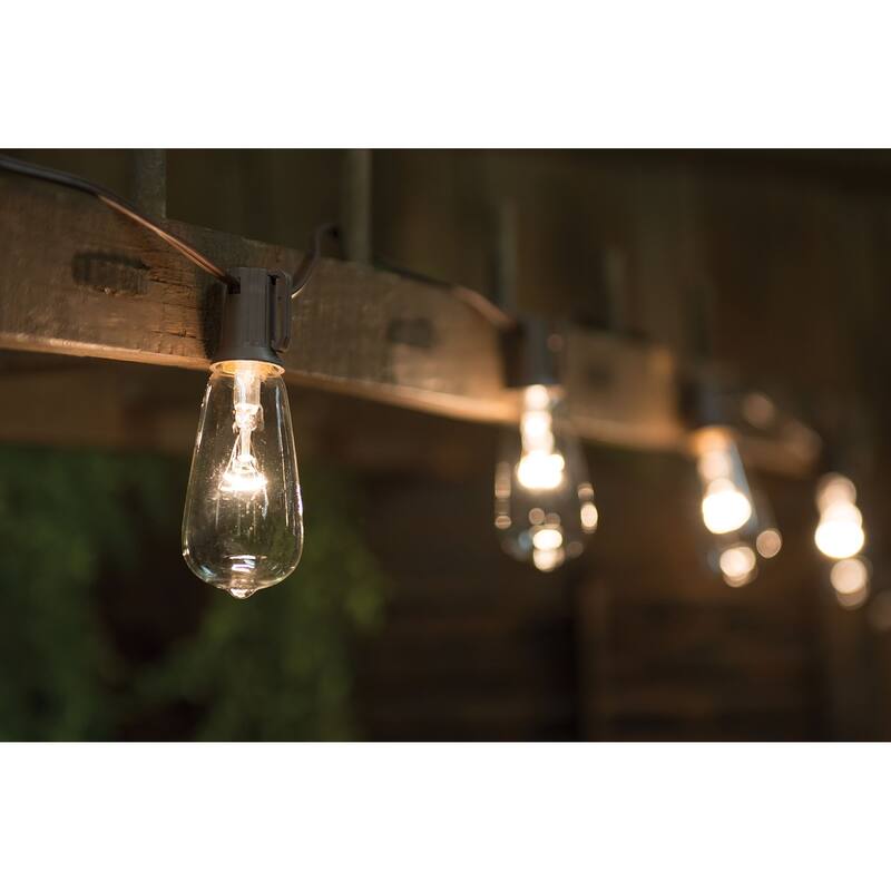 Clear Edison String Lights