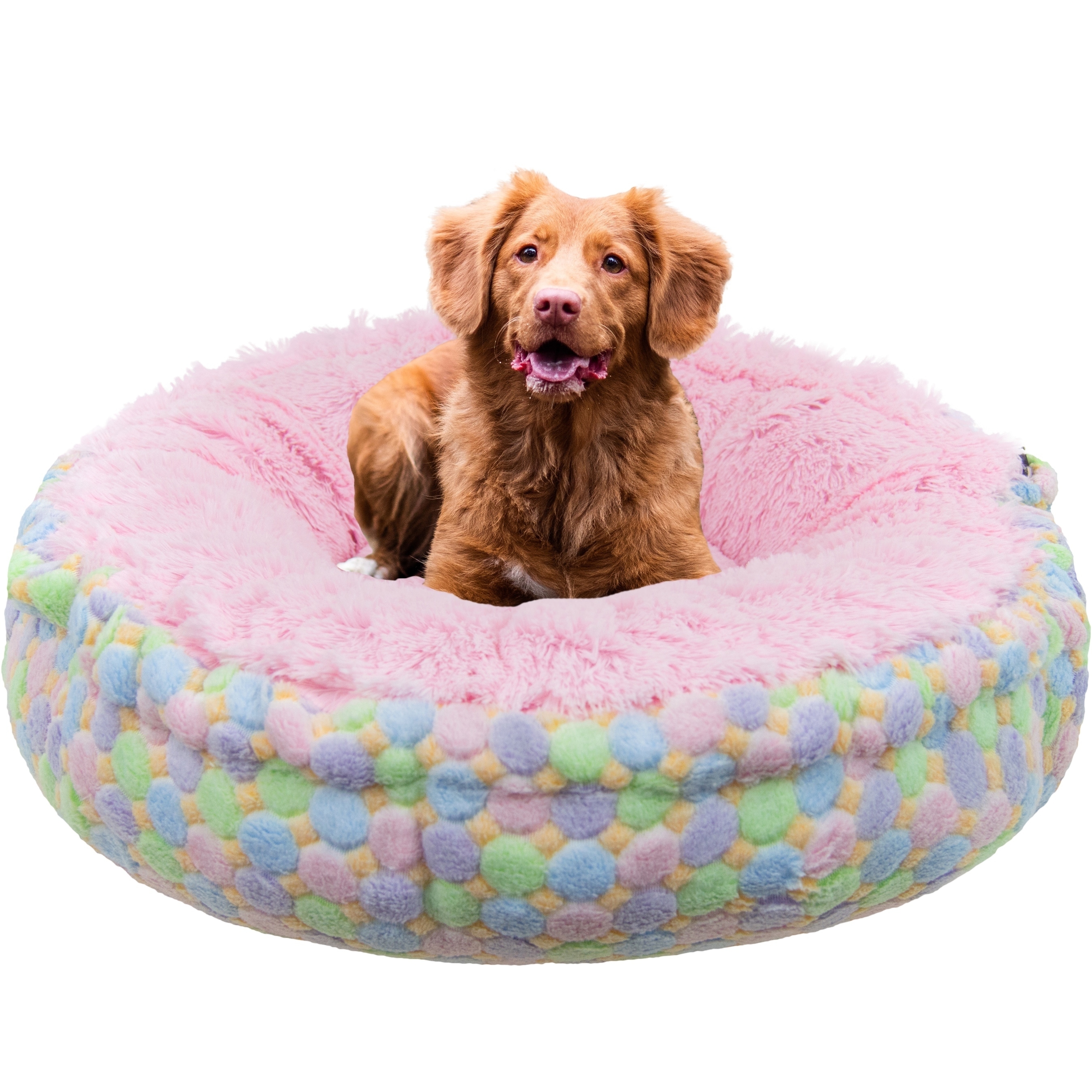 ice bed for dogs