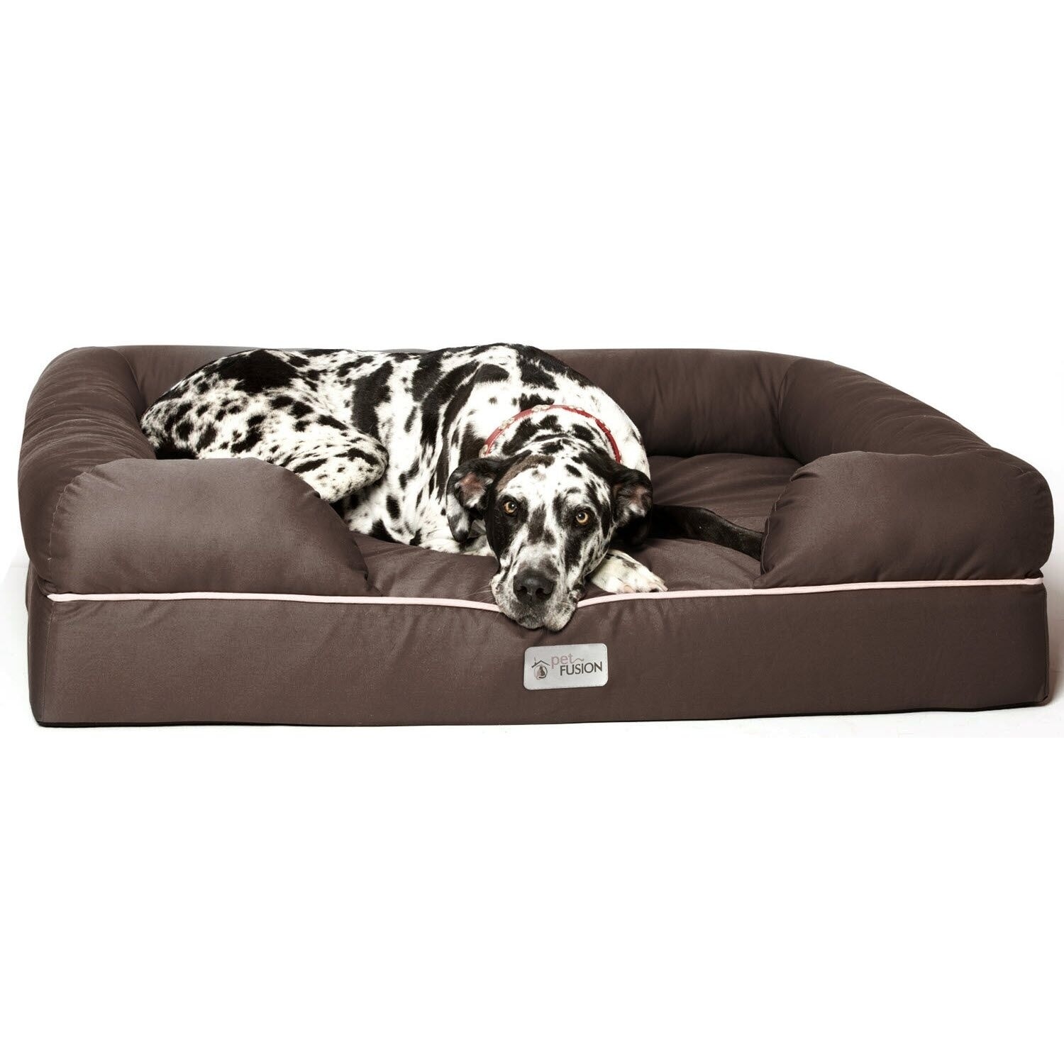 Petfusion bed best sale