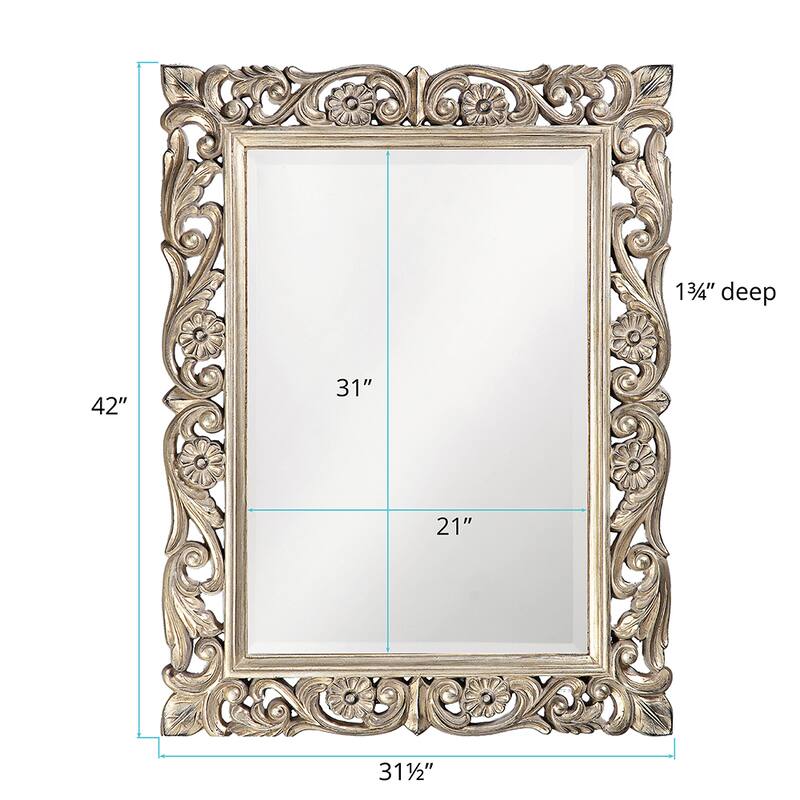 Allan Andrews Ornate Framed Beveled Rectangular Wall Mirror - Champagne/Silver