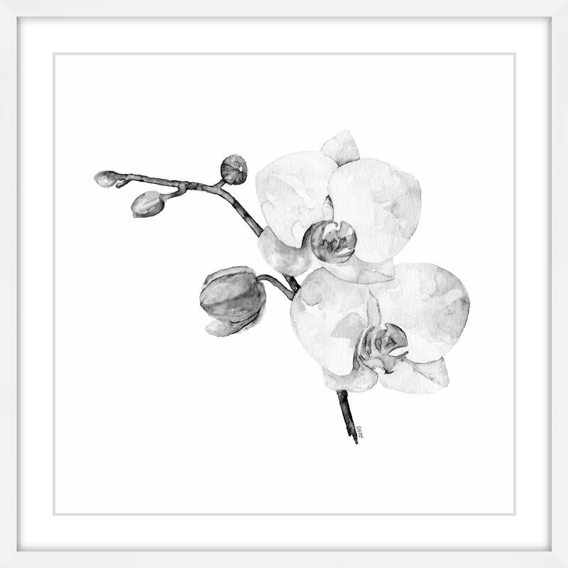 'Orchid II' Framed Painting Print - Multi-Color