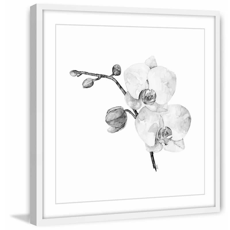 'Orchid II' Framed Painting Print - Multi-Color