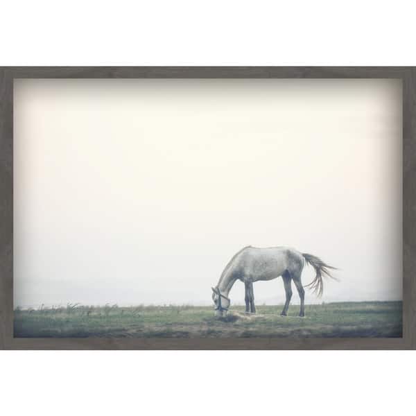 Marmont Hill Handmade Lone Horse Grazing Painting Print On Canvas With Shadow Box Overstock 18688426