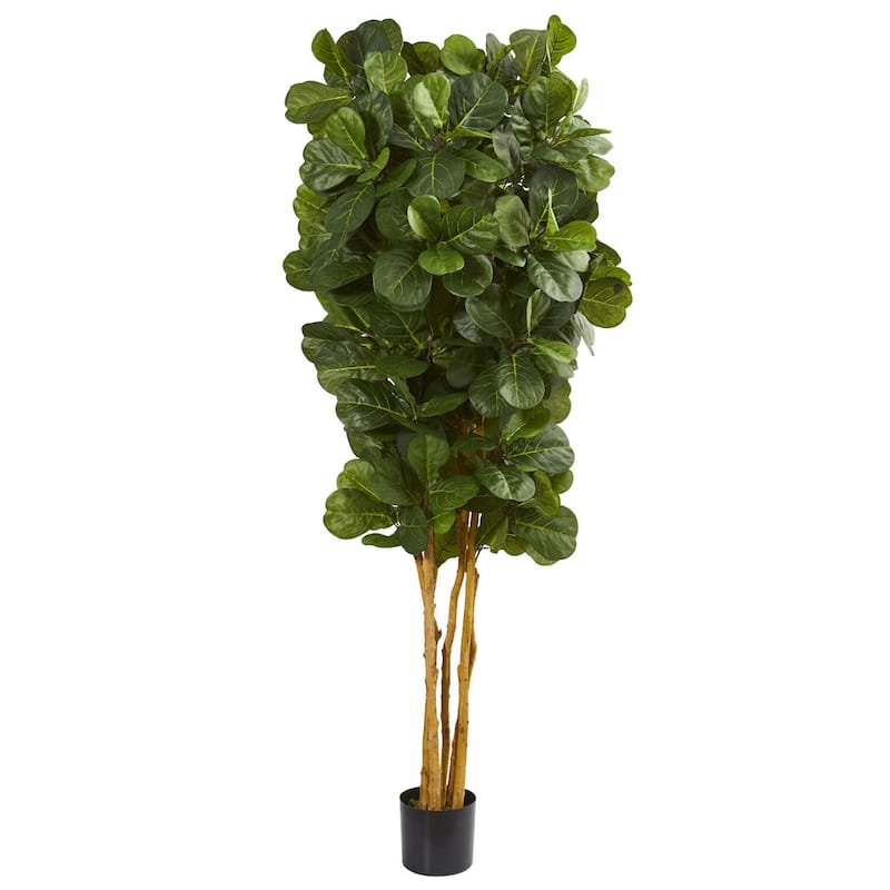 7' Fiddle Leaf Fig Artificial Tree - Green - On Sale - Bed Bath 