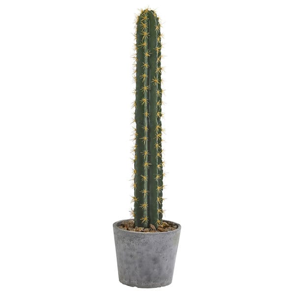 travis scott cactus jack cap TRAVIS SCOTT CACTUS JACK SKATE BLACK CAP main image 1