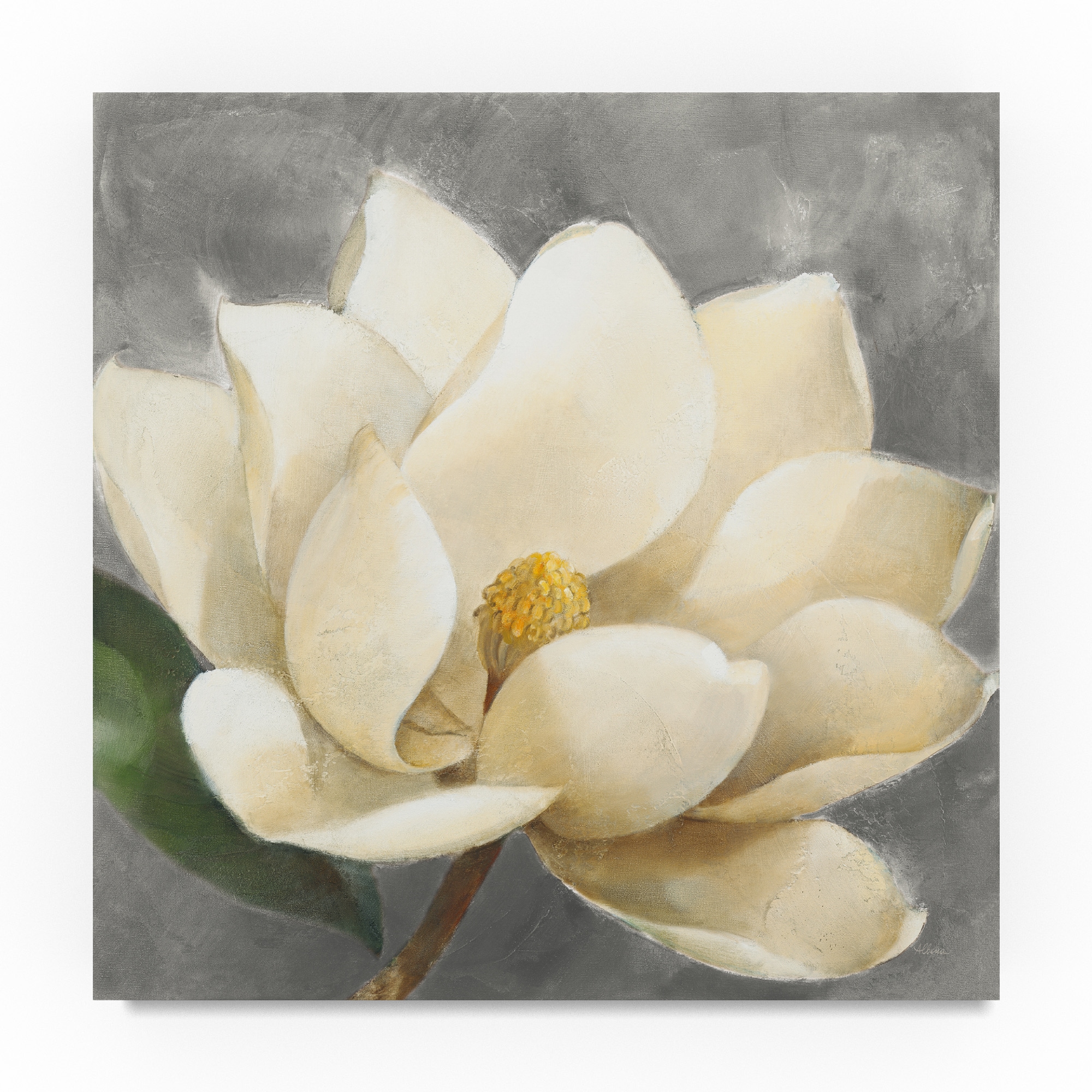 Magnolia Art