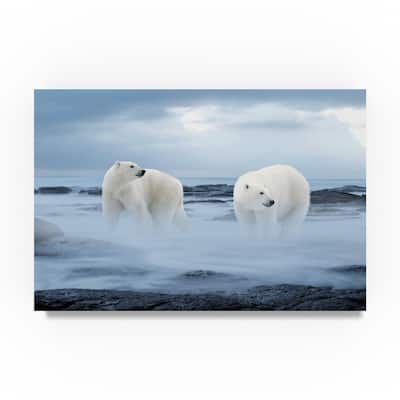 Ata Alishahi 'The Polar Bear' Canvas Art