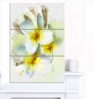 Designart 'Frangipani Flowers Watercolor' Extra Large Floral Canvas Art ...