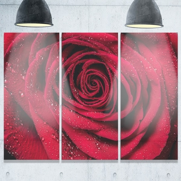Designart - Red Rose Petals with Rain Droplets - Floral Glossy Metal ...