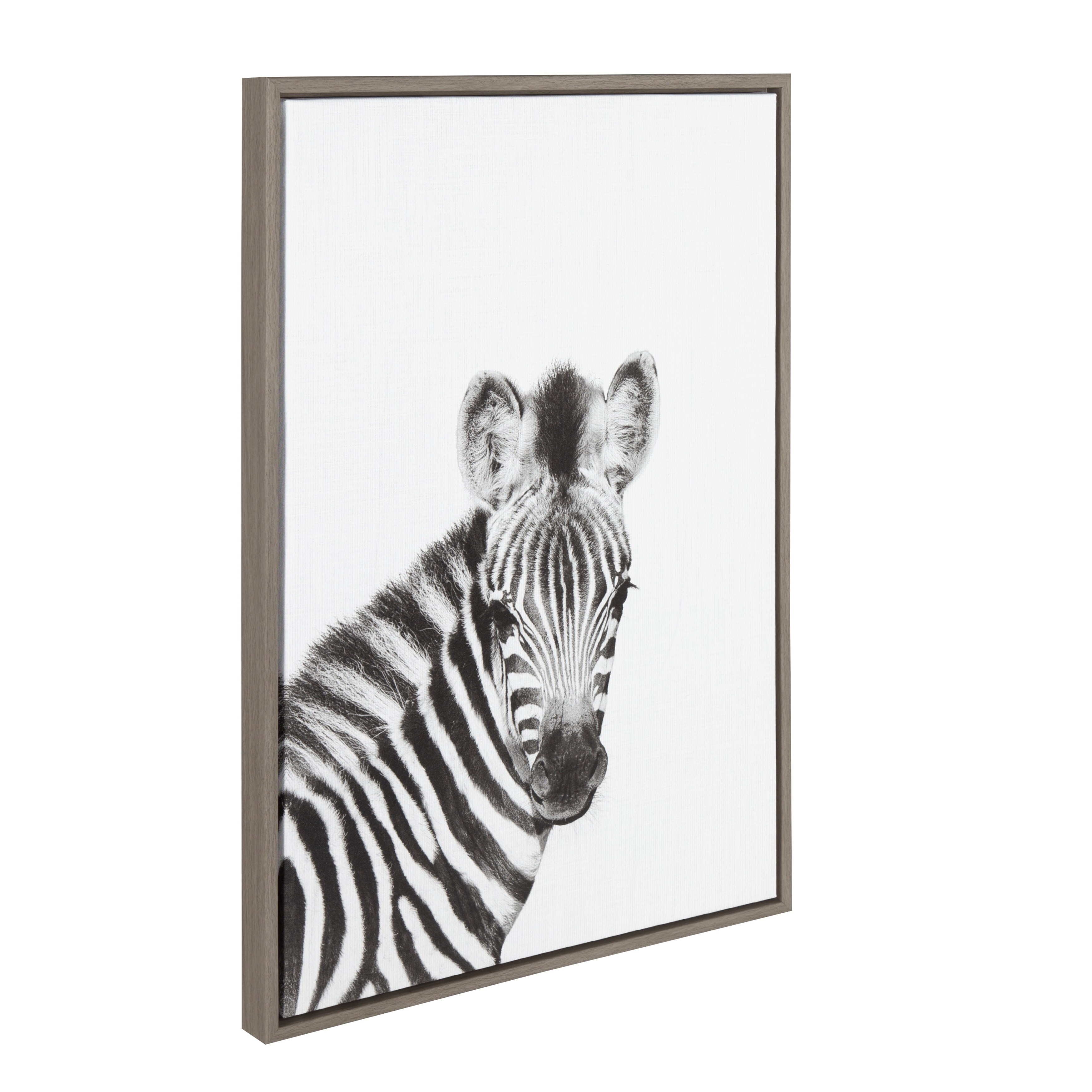 Kate and Laurel Sylvie Baby Zebra Black and White Portrait 23x33 Gray  Framed Canvas Wall Art by Simon Te Tai Bed Bath  Beyond 18753440