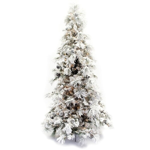 pine christmas tree