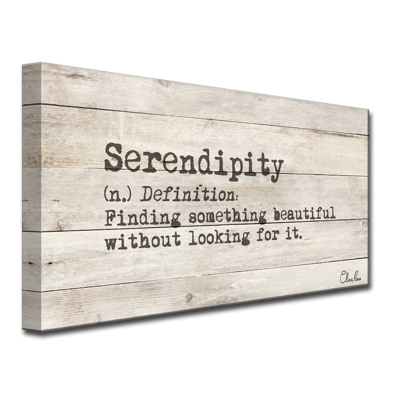Olivia Rose 'Define Serendipity' Inspirational Canvas Wall Art