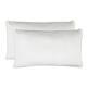 Jean Pierre Lucas Lumbar Velvet 2-Piece Throw Pillow Set