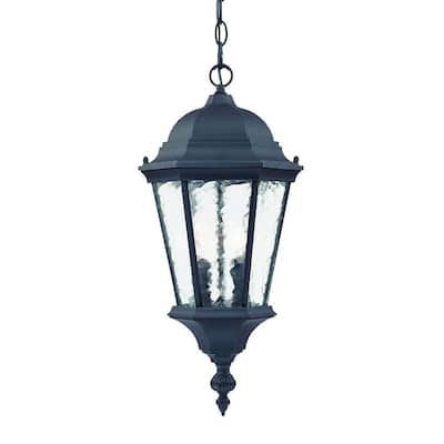 Acclaim Lighting Telfair Collection Hanging Lantern 2-Light Outdoor Matte Black Light Fixture