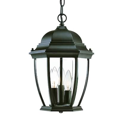 Acclaim Lighting Wexford 3-light Matte Black Hanging Lantern