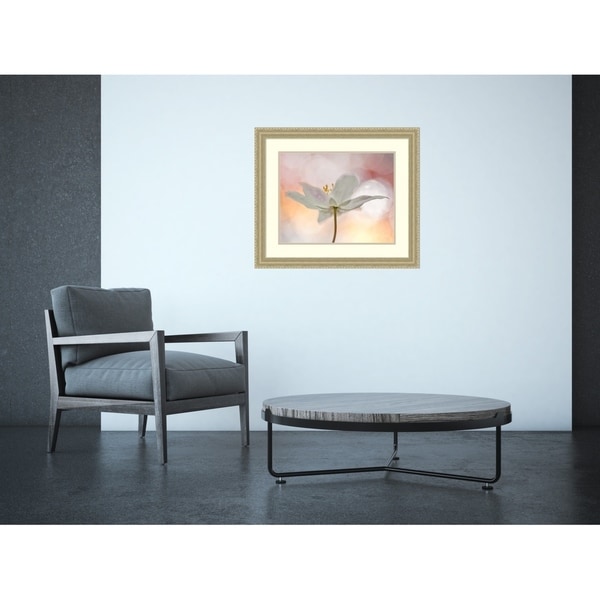 Amanti Art A Sip Bee Thalin Framed Art Print 27 x 23