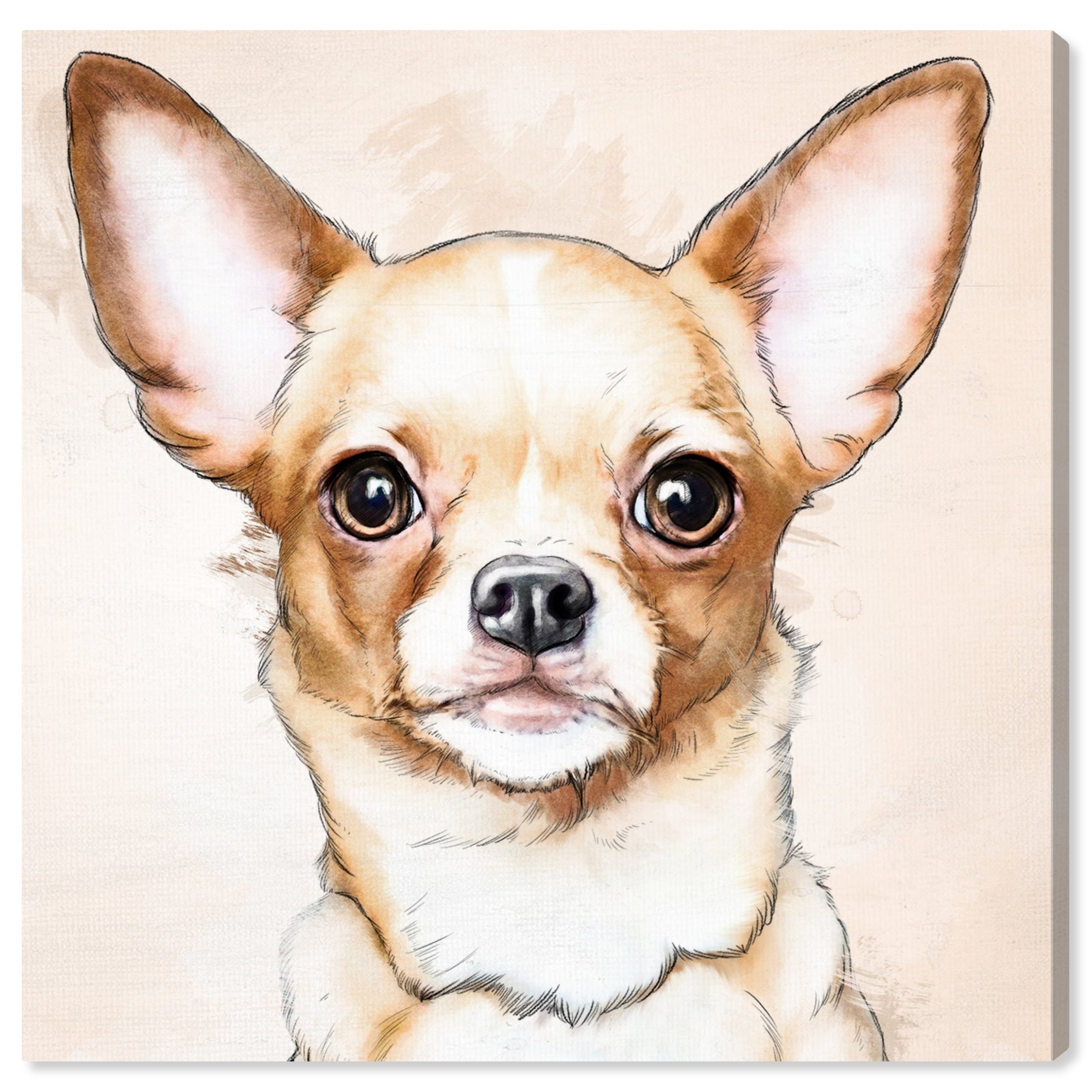 CHIHUAHUA DOGS ANIMALS MODERN WALL ART CANVAS PRINT PICTURE READY TO HANG