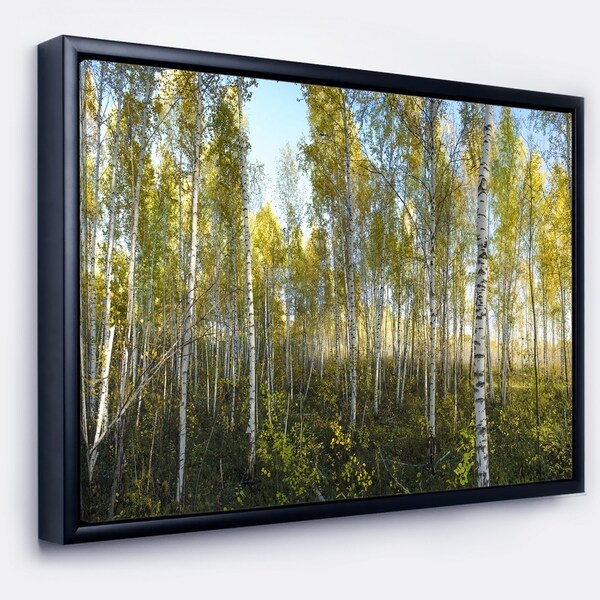 Designart 'Green Autumn Trees' Landscape Photography Framed Canvas Print