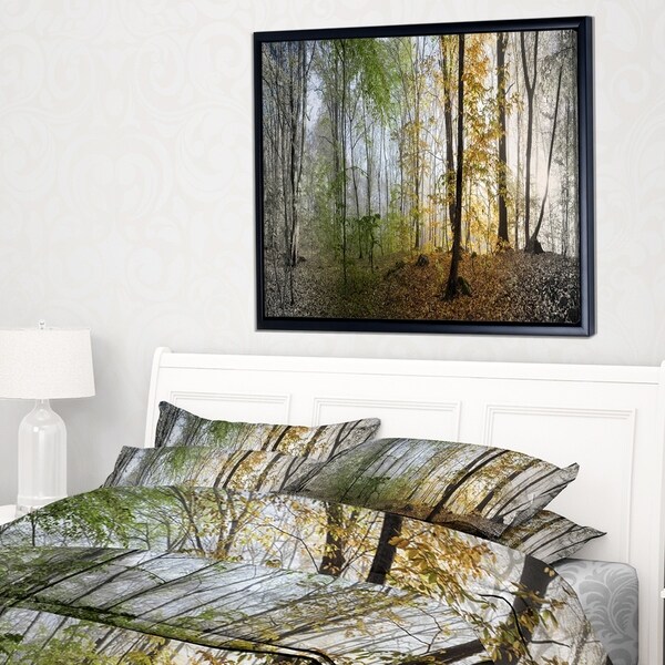 Designart 'Morning Forest Panoramic View' Landscape Photography Framed Canvas Print