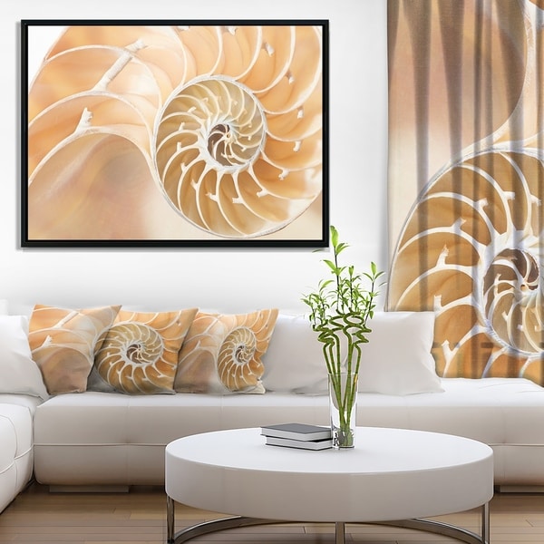 Designart 'Brown Nautilus Shell Pattern' Abstract Framed Canvas Art Print