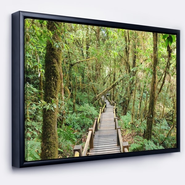 Designart 'Walk Way in Deep Forest' Landscape Photo Framed Canvas Art Print
