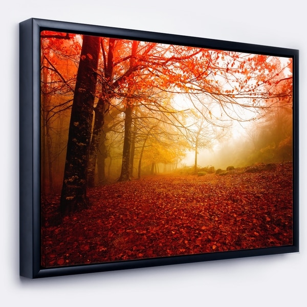 Designart 'Yellow Sun Rays in Red Forest' Landscape Photography Framed Canvas Print