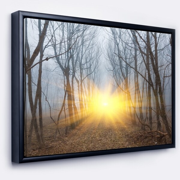 Designart 'Yellow Sun Rays in Misty Forest' Landscape Photography Framed Canvas Print